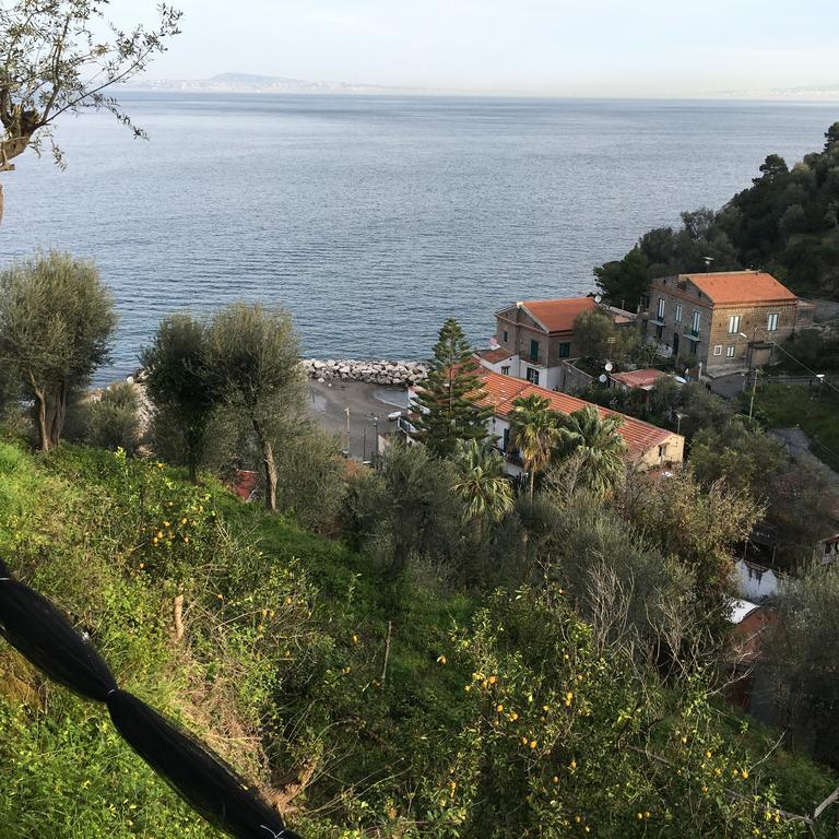 Villa Rosmary - Sorrento Coast - Gulf Of Naples View エクステリア 写真