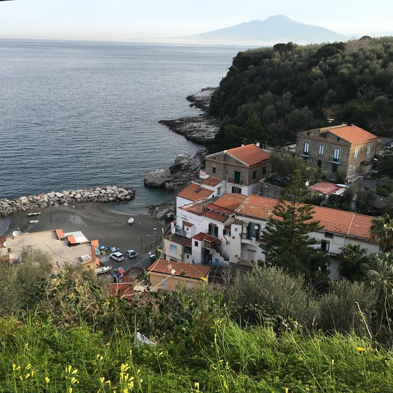 Villa Rosmary - Sorrento Coast - Gulf Of Naples View エクステリア 写真