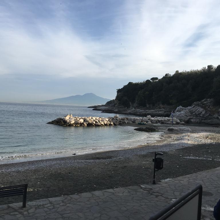 Villa Rosmary - Sorrento Coast - Gulf Of Naples View エクステリア 写真