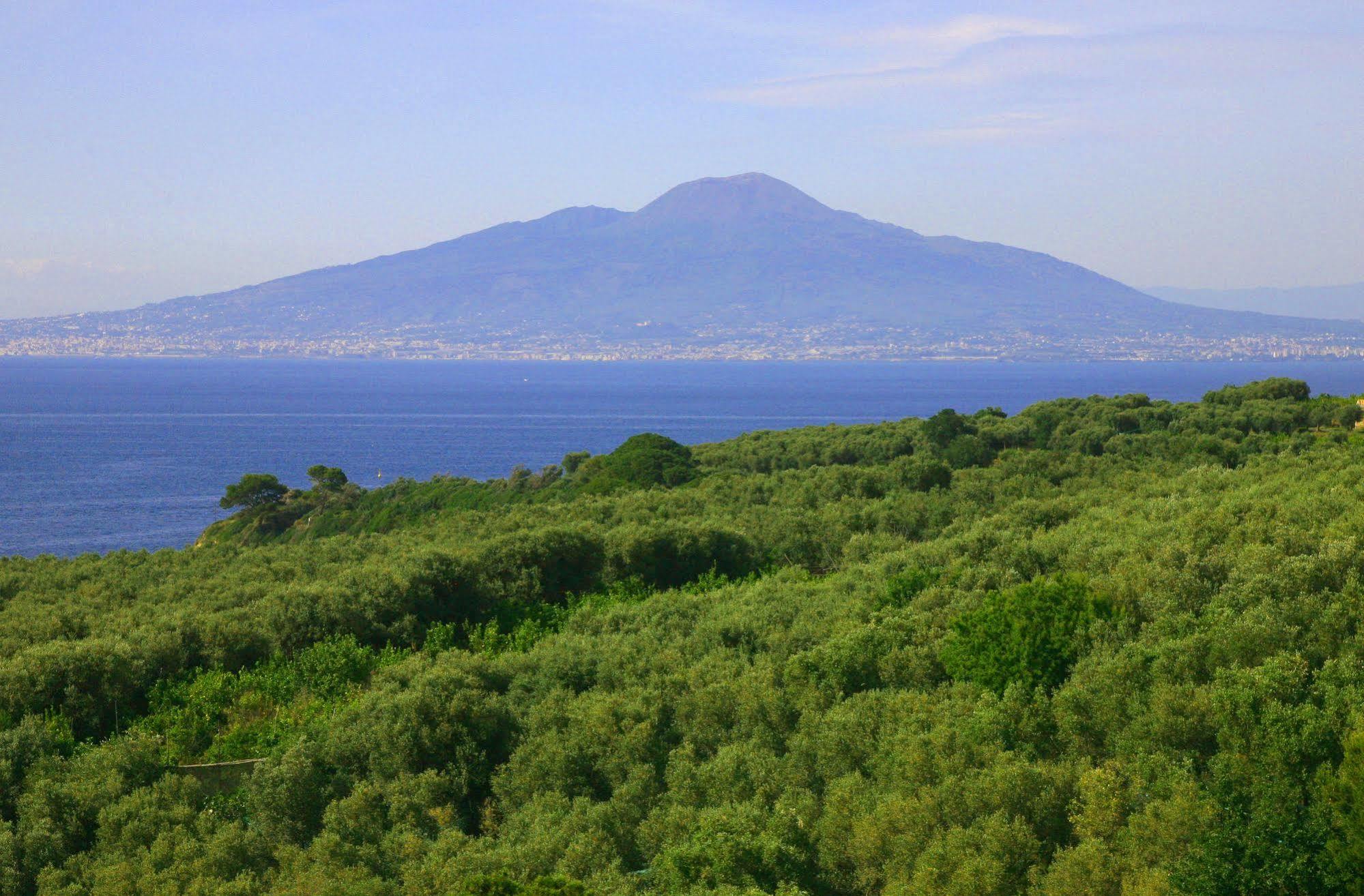 Villa Rosmary - Sorrento Coast - Gulf Of Naples View エクステリア 写真