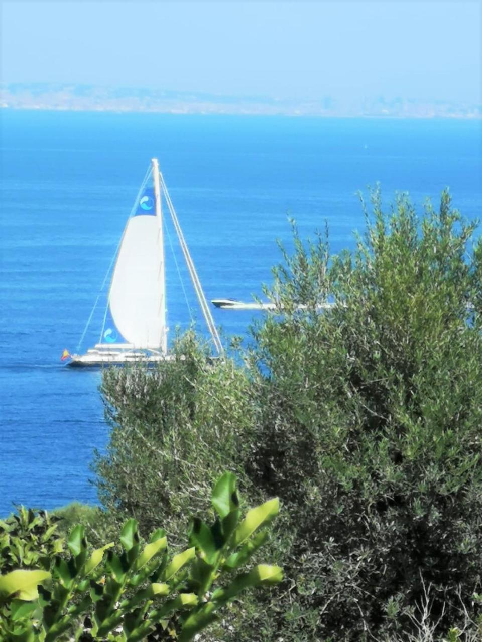 Villa Rosmary - Sorrento Coast - Gulf Of Naples View エクステリア 写真